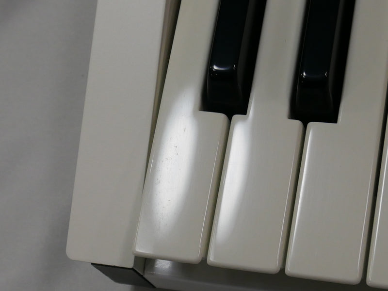 Waldorf blofeld keyboard (中古)