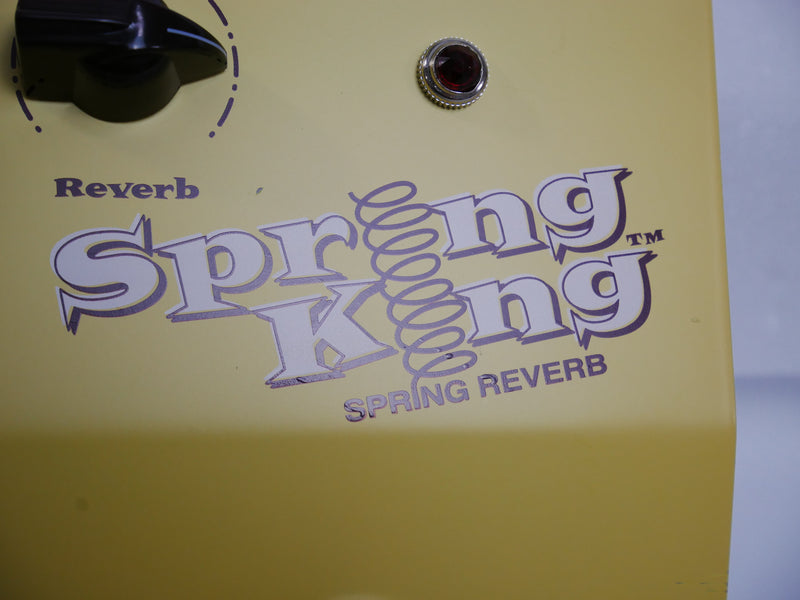 Danelectro Spring King DSR-1 (中古)